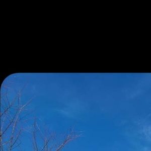 Meet your Posher, Dylan